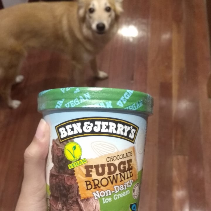 photo of Ben & Jerry's Chocolate Fudge Brownie Non-Dairy Ice Cream shared by @lauraugi on  24 Oct 2020 - review