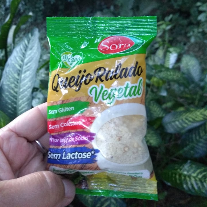 photo of Sora Queijo Ralado Parmesão shared by @limoreno on  24 Jul 2021 - review