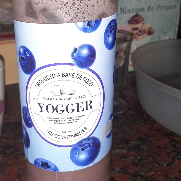 photo of Yogger Yogurt sabor arándano shared by @candeielussi on  07 Aug 2020 - review