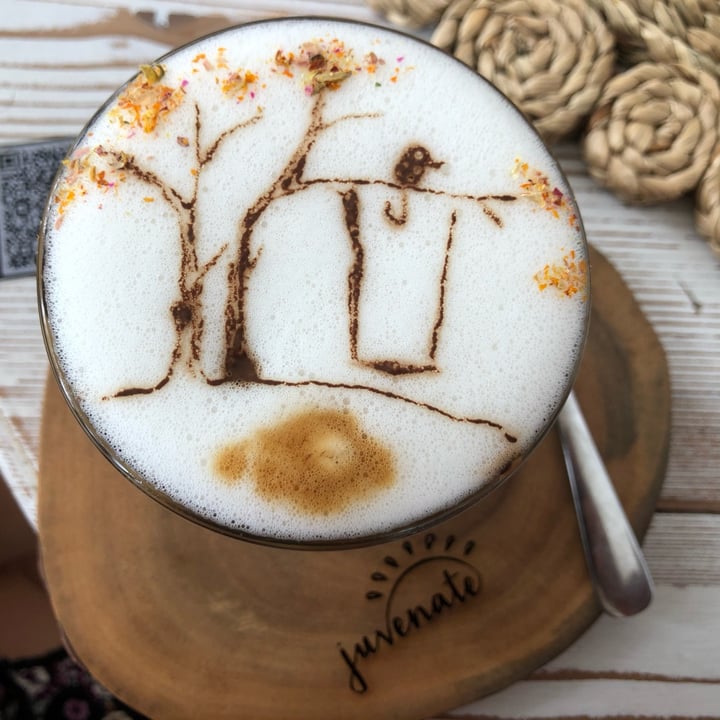 photo of Juvenate Cappuccino with Oat Milk shared by @mikaelaliltved on  11 Oct 2021 - review