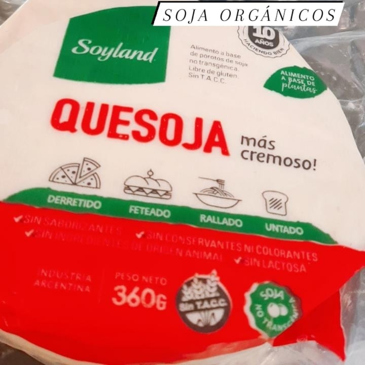 photo of Soyland Quesoja shared by @pichularules on  09 Nov 2022 - review