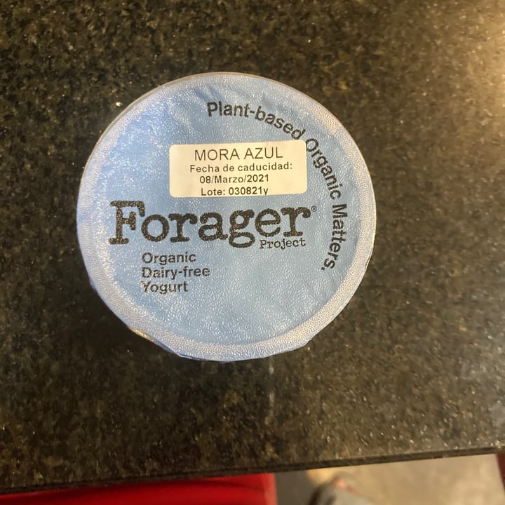 photo of Forager Project Blueberry Cashewmilk Yogurt shared by @vivianstry on  12 Feb 2021 - review