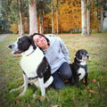 saruchi @saruchi profile image