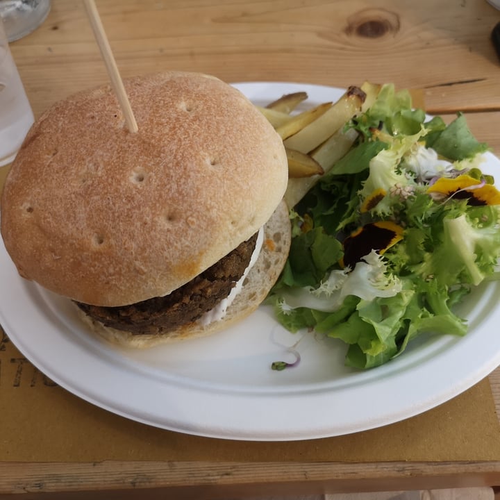 photo of Aromaticus Monti vegan burger di lenticchie con verza stufata, peperoni e maio vegana shared by @circeveg on  16 May 2022 - review
