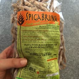 Spigabruna