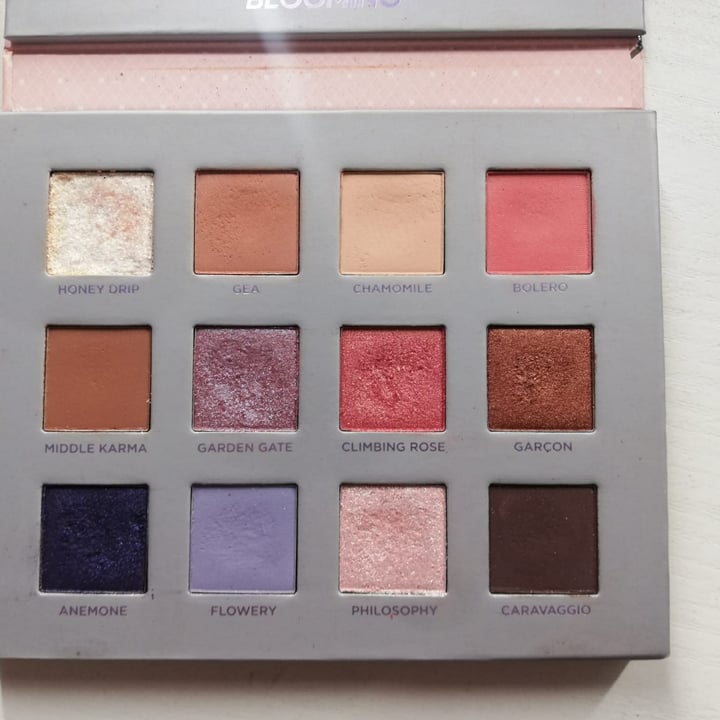 review photo of Nabla Cosmetics Soul blooming eyeshadow palette shared by @queenfinehair on 17 Dec 2021 - review