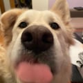espe97 @espe97 profile image