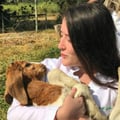 luizagalv @luizagalv profile image