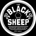 @blacksheepsanctuary profile image