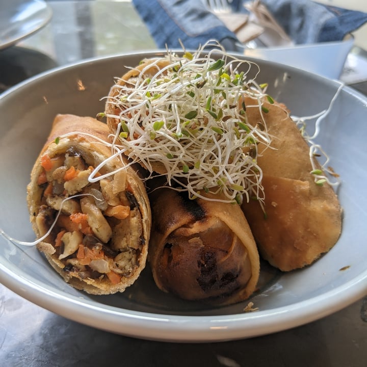 photo of Real Food Spring rolls shared by @shawneofthedead on  25 Dec 2020 - review
