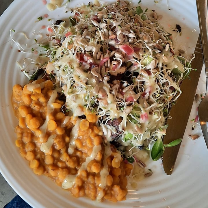 photo of The Sunshine Food Sprouting Co Salad plate shared by @africandebs on  04 Nov 2020 - review