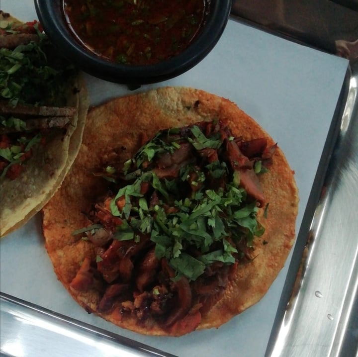 photo of Tacomido Taco de birria shared by @naynaynay on  13 Nov 2021 - review