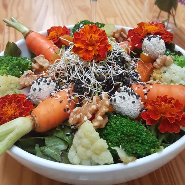 photo of Purana.Co Super salada shared by @euvivoparacomer on  07 Jul 2021 - review