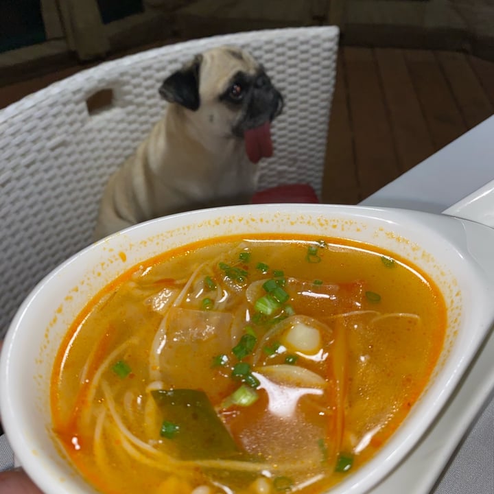 photo of Canvas & Orchids Retreat | Glamping in Cambodia Classic Vegetable Tom Yum Soup shared by @janscaz on  13 Jun 2022 - review