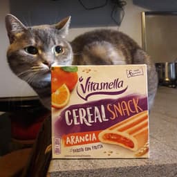 Vitasnella