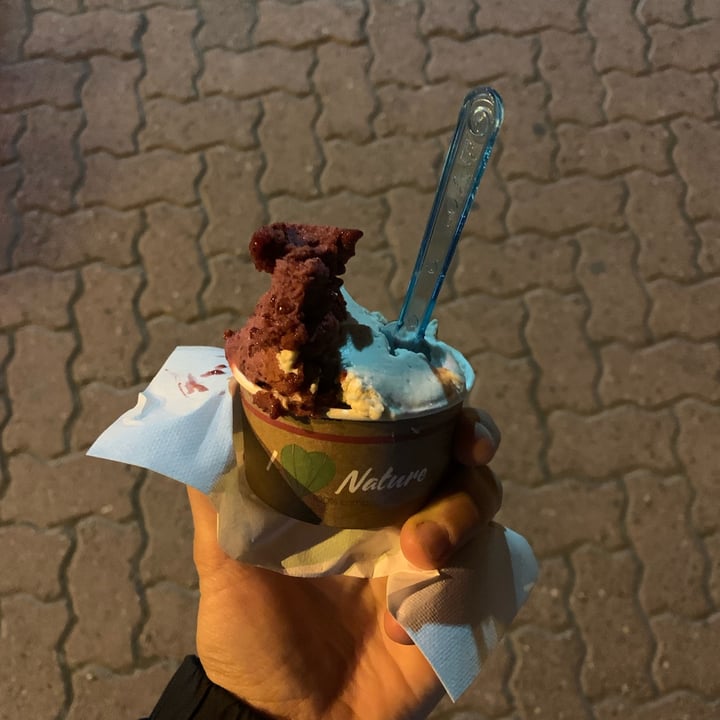 photo of Big Ben Ice Gelato vegano shared by @virginiapatafi on  18 Apr 2022 - review