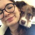 maddalenab @maddalenab profile image