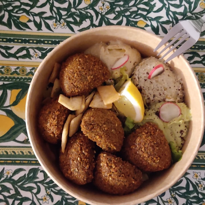 photo of Santo Falafel Balania shared by @hypatia on  15 May 2022 - review