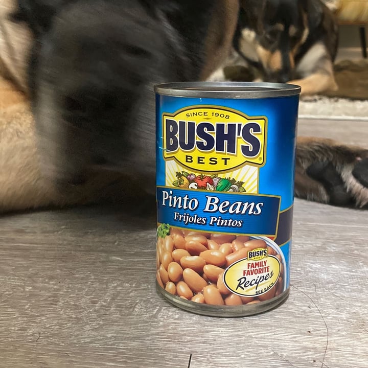 review photo of BUSH'S® Pinto beans shared by @mariejane56 on 22 Jan 2022 - review