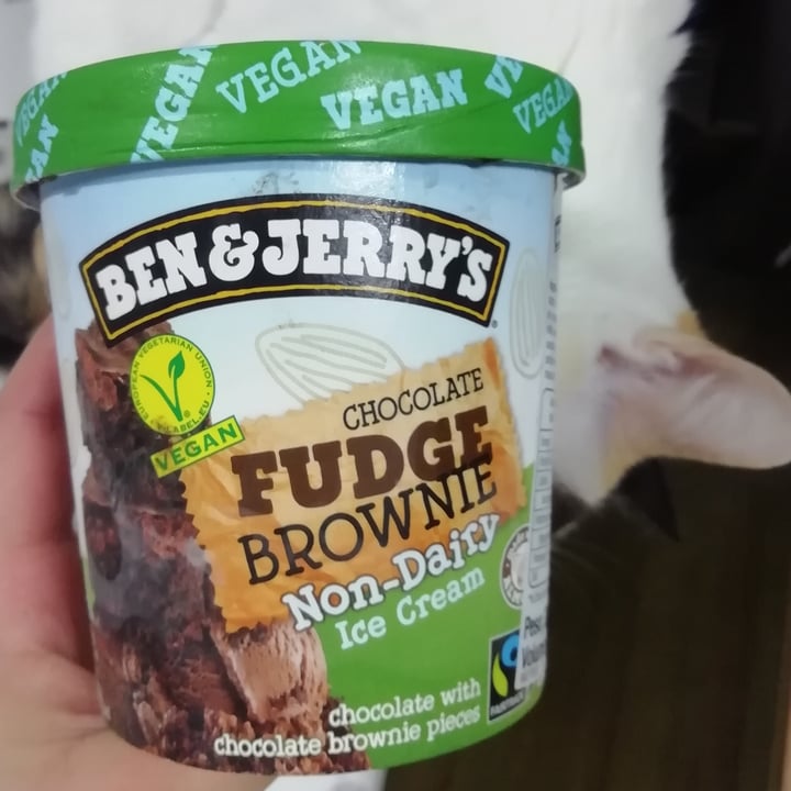 photo of Ben & Jerry's Chocolate Fudge Brownie Non-Dairy Ice Cream shared by @anathedoglady on  05 Feb 2021 - review