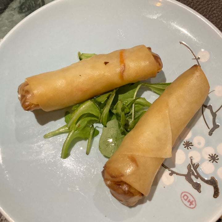 photo of Sushi Origami involtini primavera shared by @carolae on  05 Dec 2022 - review