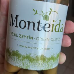 Monteida