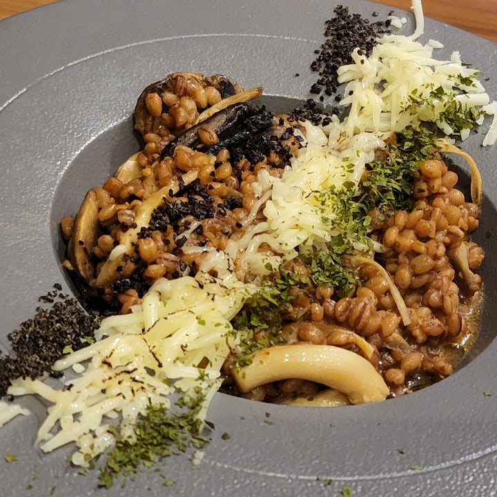 photo of Am I Addicted - Pottery Studio & V Cafe Doenjang Truffle Risotto shared by @3xmoos on  04 Jul 2022 - review