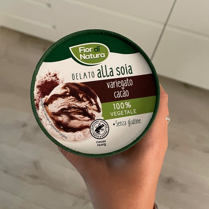 photo of Fior di Natura Gelato Alla Soia Variegato Cacao shared by @hiddenleo on  10 Sep 2021 - review