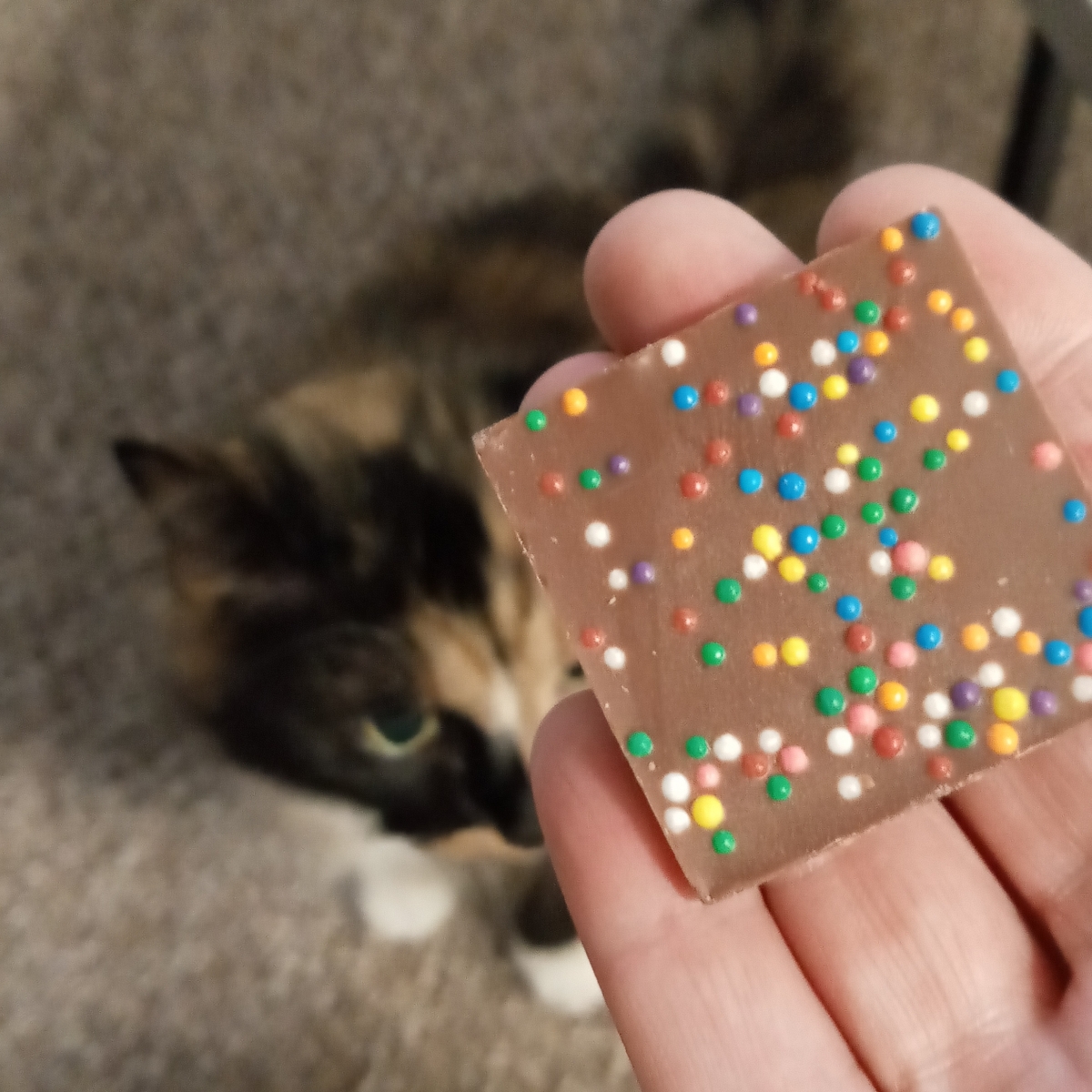Trupo Treats Mylk Chocolate Rainbow Sprinkle Squares Reviews abillion