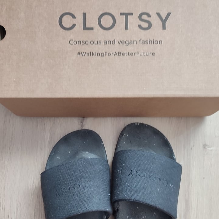 review photo of Clotsy Brand Chanclas shared by @pickyrabbit on 08 Jul 2022 - review