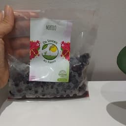 Da Semente ao Fruto