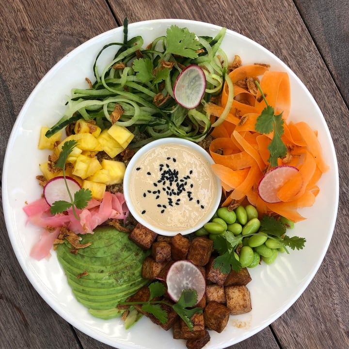 photo of Wildsprout Poke Bowl shared by @mothercitymatt on  07 Nov 2022 - review