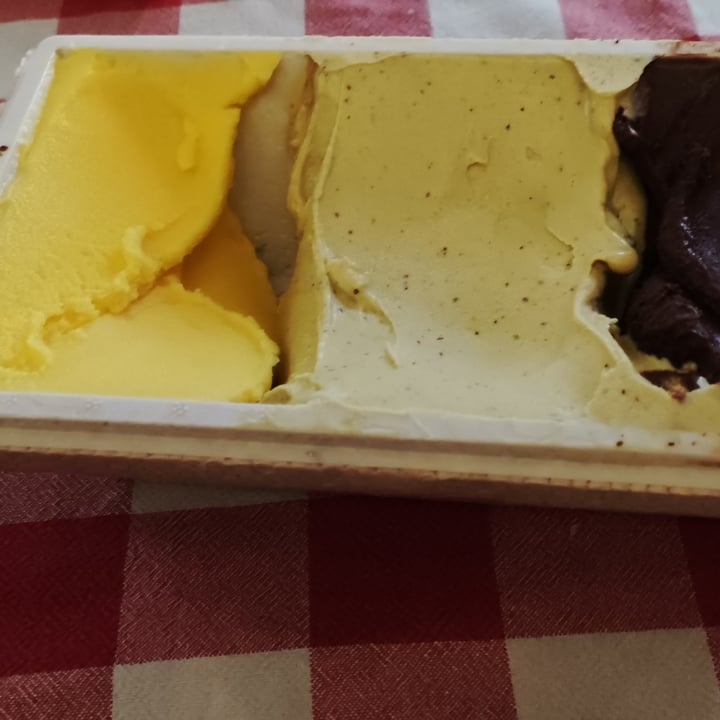 review photo of Stefino Organic Gelato gelato vegano shared by @ilax on 15 Jun 2022 - review