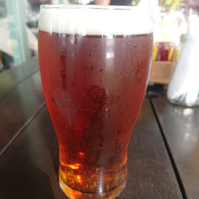 菜肴“Cerveza Amber Ale Patagonia”的照片