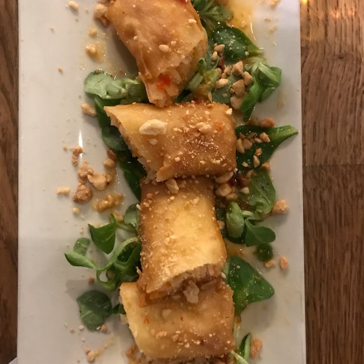 review photo of Roots & Rolls Rollito de primavera casero shared by @martafusano on 08 Jul 2022 - review