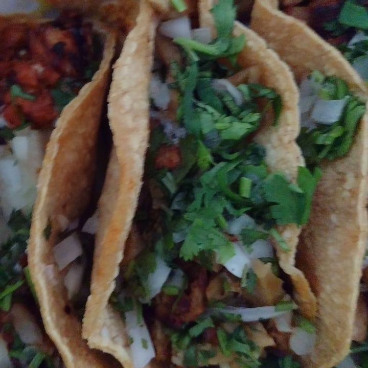 photo of Gold Taco Roma Taco Bistéc Seitán shared by @edyara on  29 Jun 2021 - review