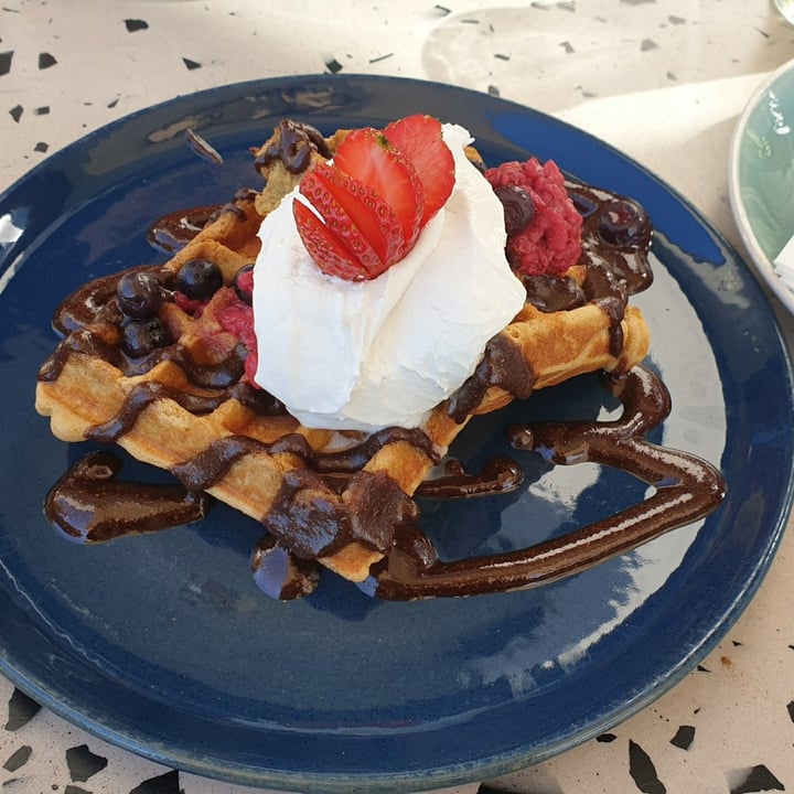 photo of Lexi's Healthy Eatery Vanilla Power Waffles shared by @compassionate1candy on  18 Aug 2021 - review