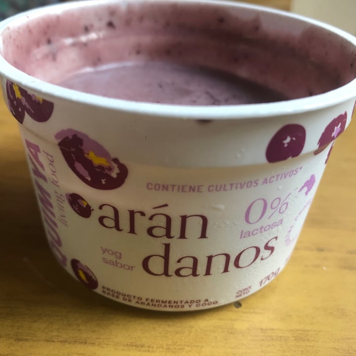 photo of Quimya Yogurt sabor Arándanos shared by @veyrona on  24 Jan 2021 - review