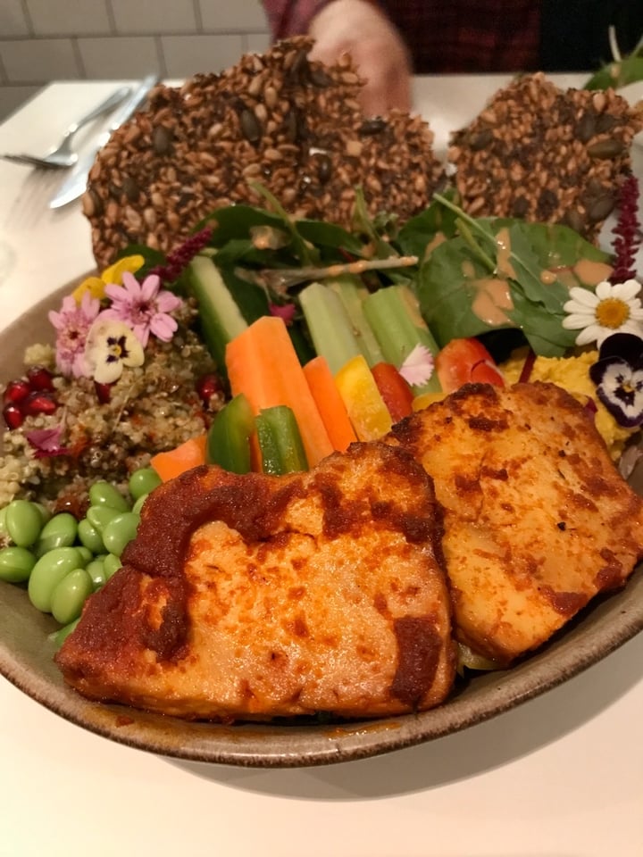 photo of Stem + Glory King st Yogi Bowl shared by @camveg2020 on  12 Jan 2020 - review