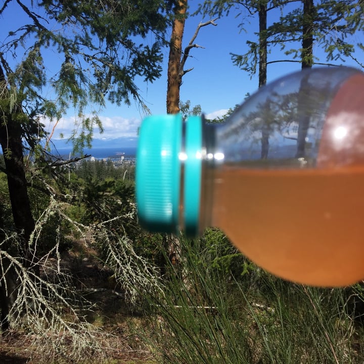 photo of Roar organic Georgia Peach Electrolyte Infusions shared by @malarky on  12 Apr 2021 - review