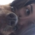 candeeev @candeeev profile image