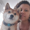 vivimetzker @vivimetzker profile image