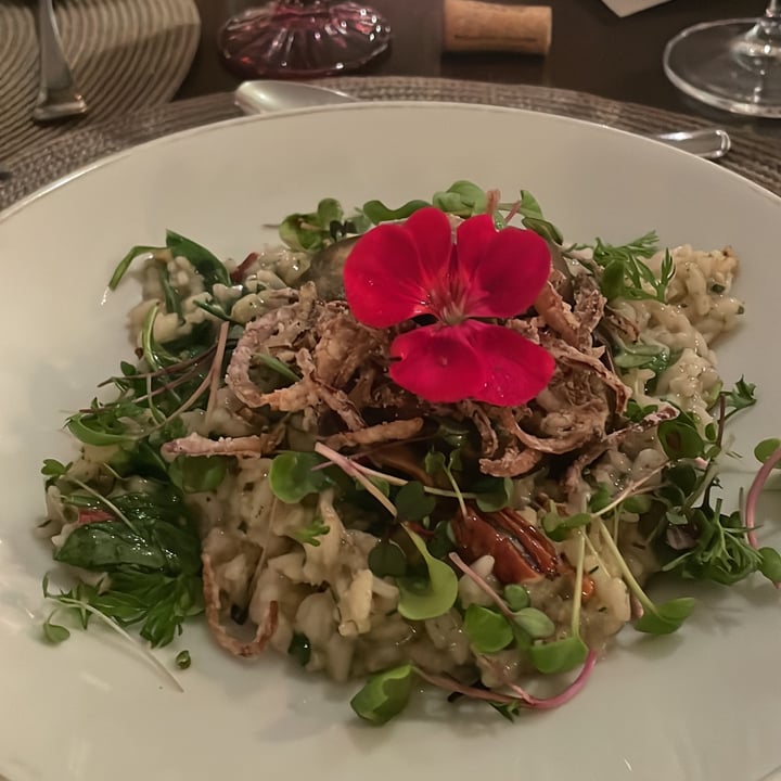 review photo of Magnólia Restaurante Bar e Cinema Risoto Ao Pesto Com Beringelas Confitadas shared by @carlaps on 17 Jun 2022 - review