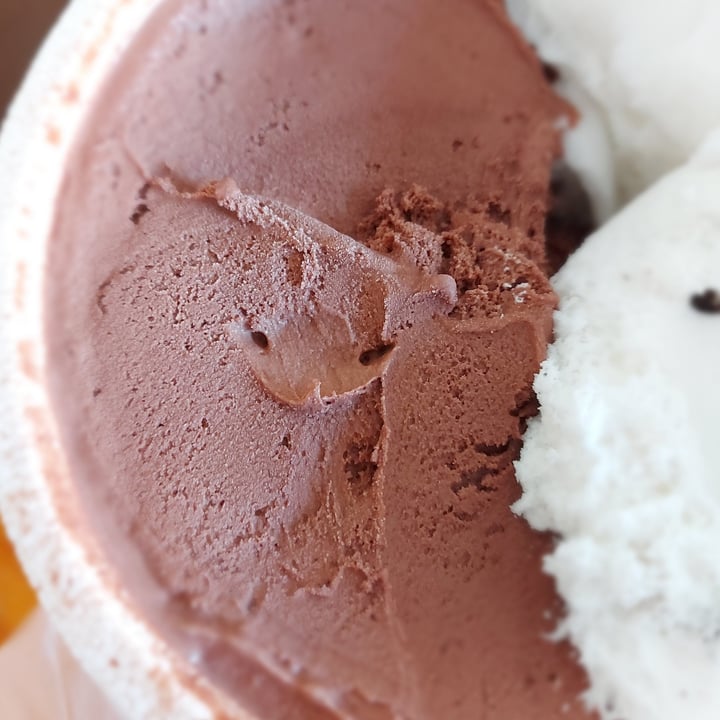 photo of Futuro Helados Chocolate shared by @veganbandit on  05 Feb 2021 - review