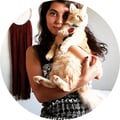 hastii @hastii profile image
