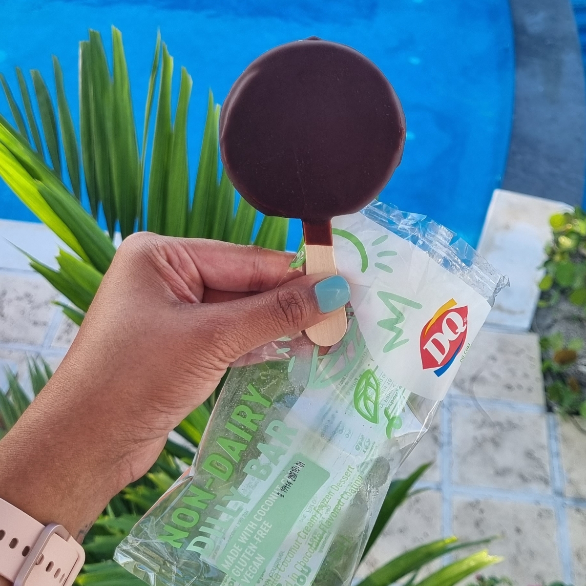 Dairy Queen NonDairy Dilly Bars Reviews abillion