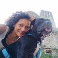 lauradavega @lauradavega profile image