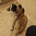 maddyveggy @maddyveggy profile image