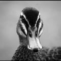 k-wunderlich @k-wunderlich profile image