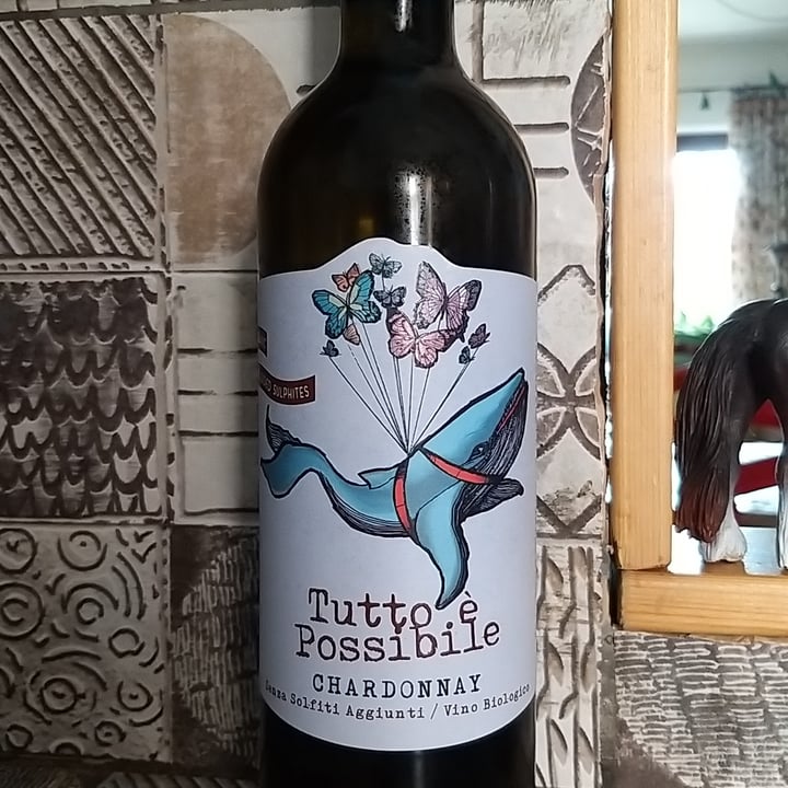 photo of Terre Cevico Rubicone Chardonnay shared by @robiarpi65 on  29 Jul 2022 - review